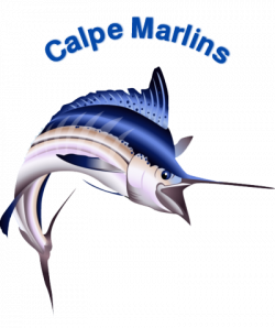 marlins-cropped